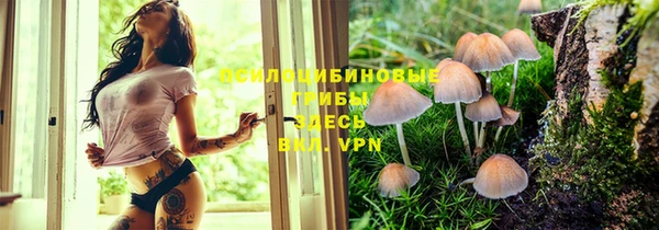 марки lsd Бугульма
