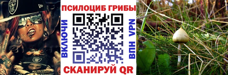 Псилоцибиновые грибы Magic Shrooms  Ижевск 